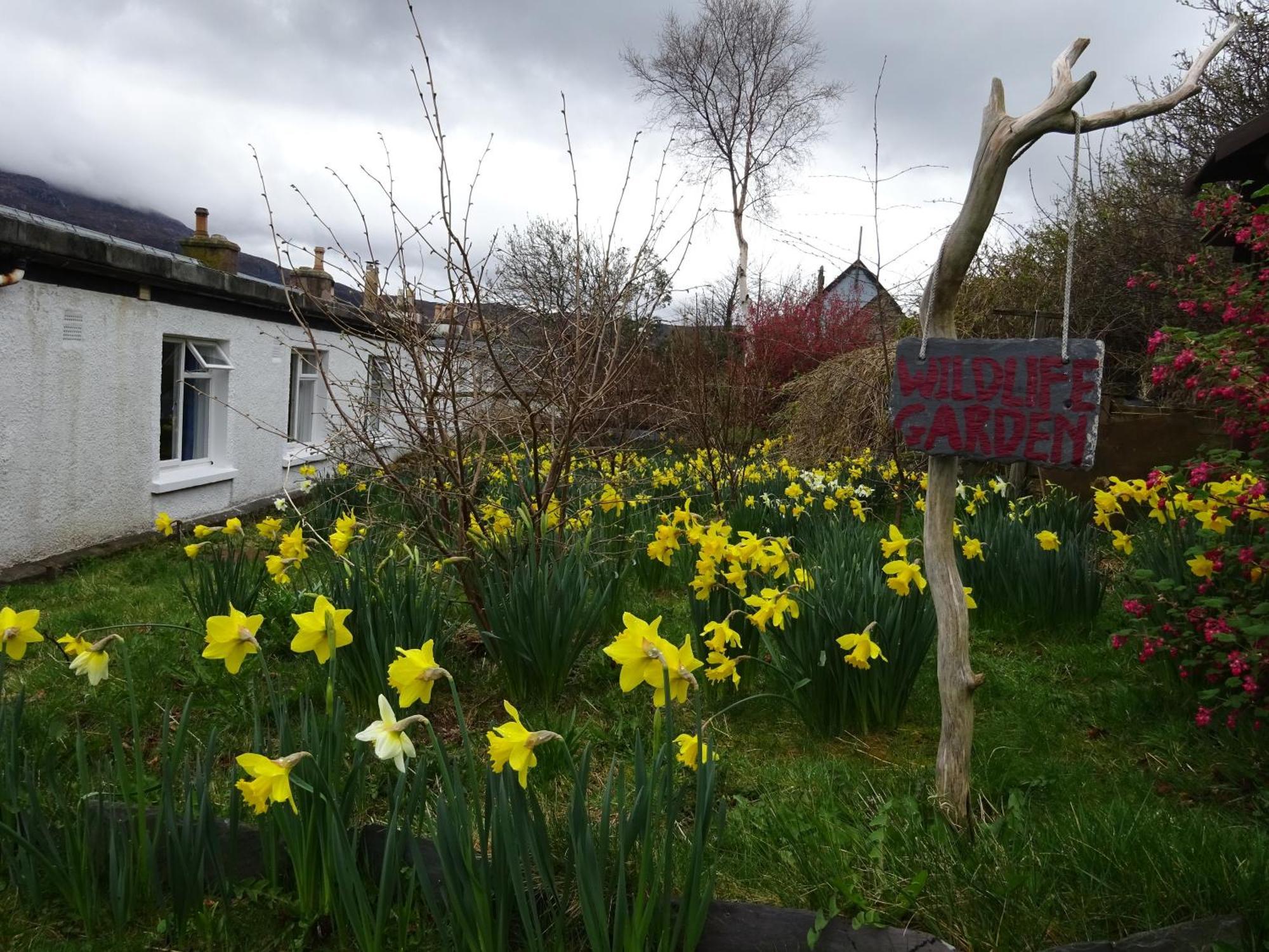 Ullapool Youth Hostel Dış mekan fotoğraf